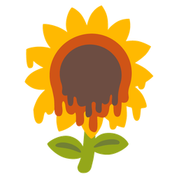 Sunflower and Melting face