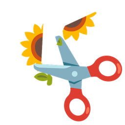 sunflower and scissors