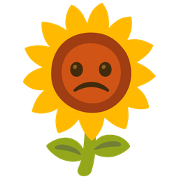 sunflower and slightly frowning face