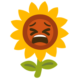sunflower and tired face