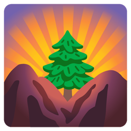 sunrise over mountains and evergreen tree