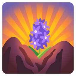 sunrise over mountains and hyacinth