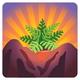 sunrise over mountains and potted plant