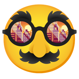 sunset and disguised face