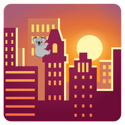 sunset and koala