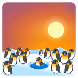 sunset and penguin