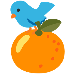 tangerine and bird
