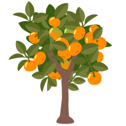 tangerine and evergreen tree