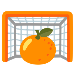 tangerine and goal net