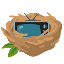 television and empty nest