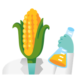 test tube and ear of corn