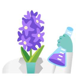 test tube and hyacinth