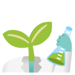 test tube and seedling