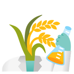 test tube and sheaf of rice