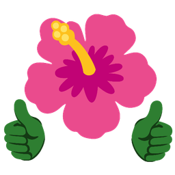 thumbs up and hibiscus