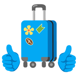 thumbs up and luggage