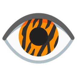 Tiger face and Eye