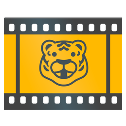 Tiger face and Film frames