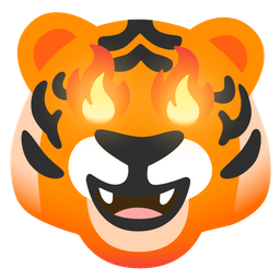 Tiger face and Fire