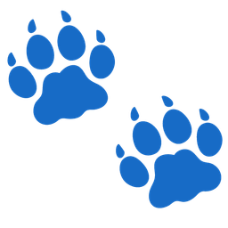 Tiger face and Footprints