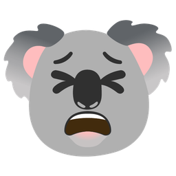 tired face and koala