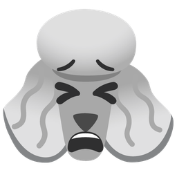 tired face and poodle