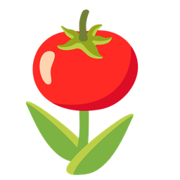 tomato and tulip