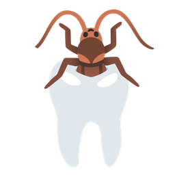 tooth and cockroach