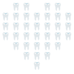 tooth and heart suit