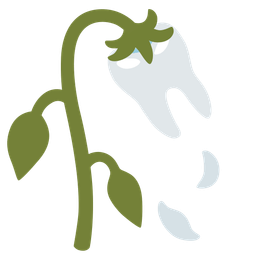 tooth and wilted flower