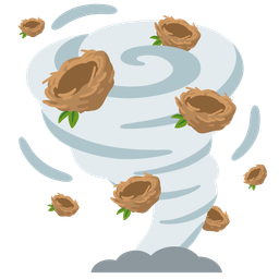 tornado and empty nest