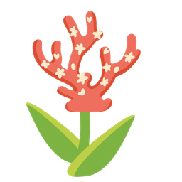 tulip and coral