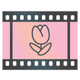 tulip and film frames