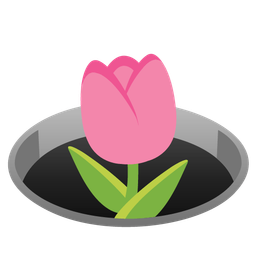 tulip and hole