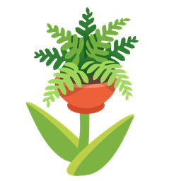 tulip and potted plant