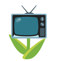 tulip and television