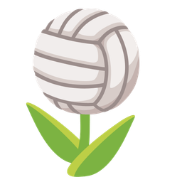 tulip and volleyball