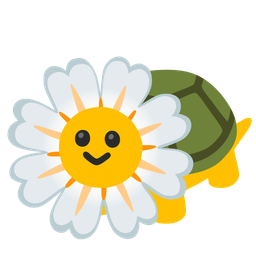 turtle and blossom