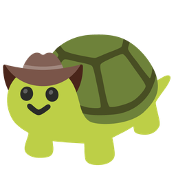 turtle and cowboy hat face