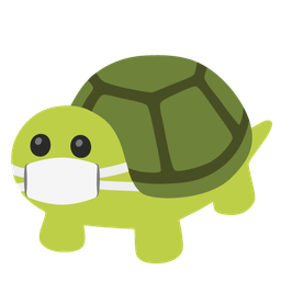 turtle and face with medical mask