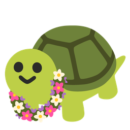 turtle and hibiscus