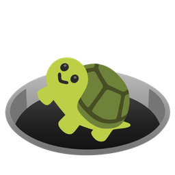 turtle and hole