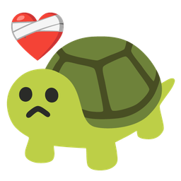 turtle and mending heart