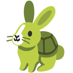 turtle and rabbit face