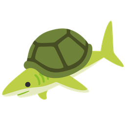 turtle and shark