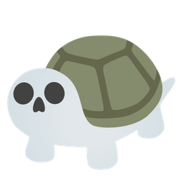 turtle and skull