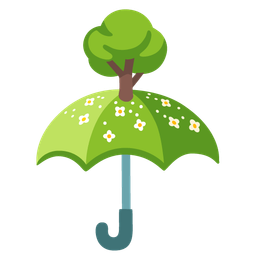 umbrella and deciduous tree