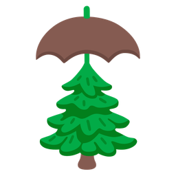 umbrella and evergreen tree