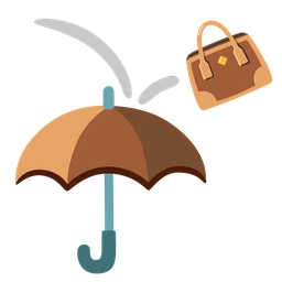 umbrella and handbag