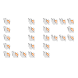 UP! button and spiral shell